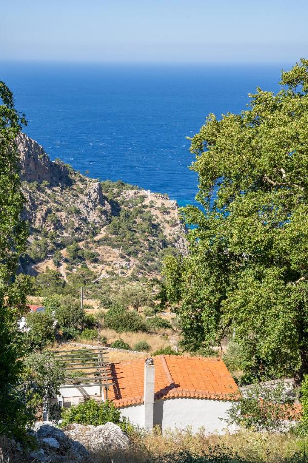 Mertonas Villa Kyra Panagia Exterior foto